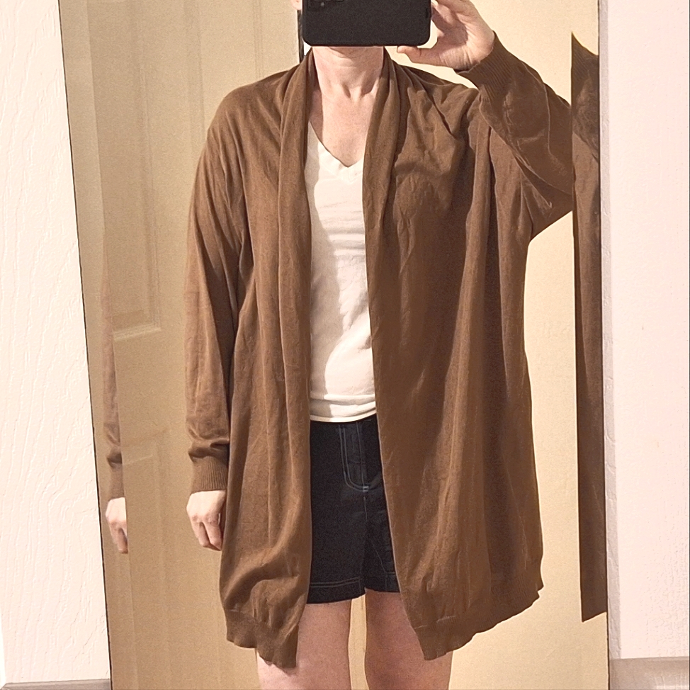 B. Chyll | Brown Sweater W/ Hood